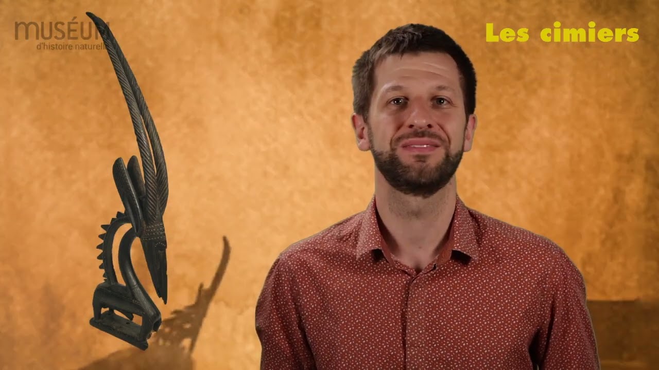 Comprendre les masques africains