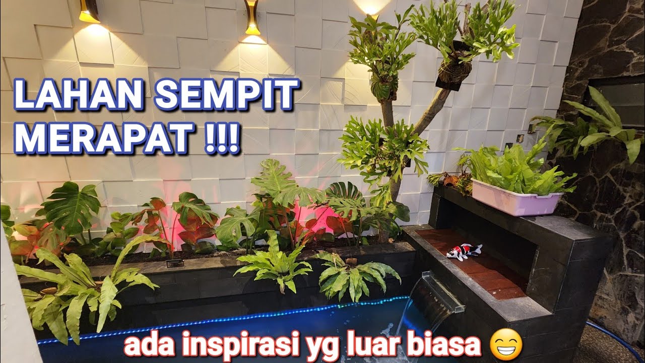 KOLAM IKAN KOI MINIMALIS DI LAHAN YANG SEMPIT | Owner Bp Rendra Benowo Surabaya