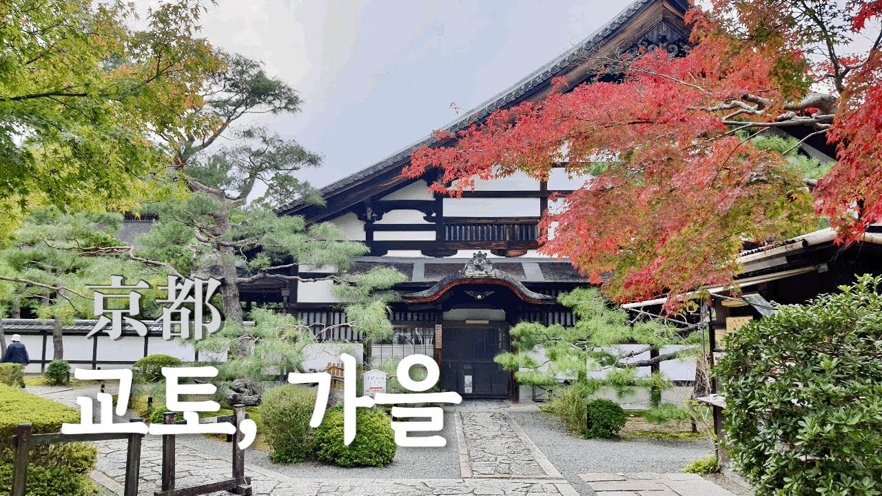 日本旅行 🇯🇵 京都 11월 교토여행 : 좋아하던 곳들만 쏙쏙, 단풍구경까지, 알차게 하루를 보내다 🍂 위켄더스 난젠지 와가시와 마챠 문구점 츠케모노 사케 고민가카페 京都美食 楓葉