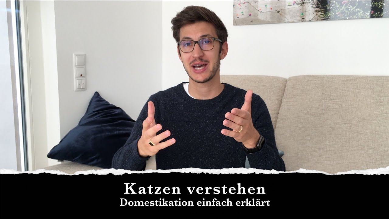 Katzen verstehen: Warum sind Katzen so kompliziert?