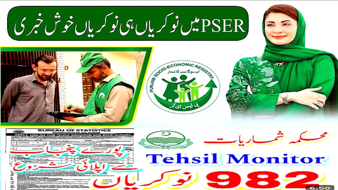 Bureau Of Statistics Jobs 2025 | Pser jobs |PakistanGovernment job|Tehsil Monitor Jobs