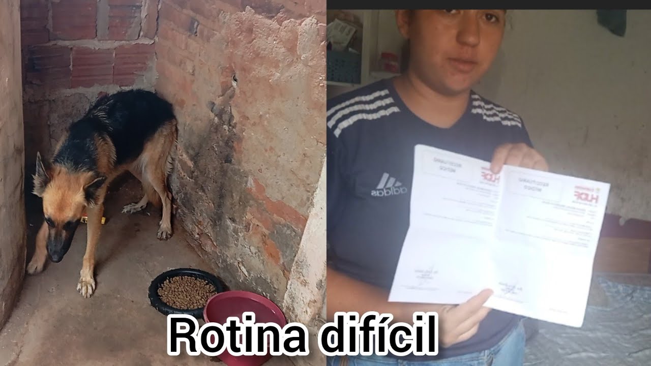 NUNCA SERA UM ADEUS LUTO MINHA NOVA DARA FUI PARAR NO HOSPITAL COM O MEU FILHO MUITOS REMEDIO