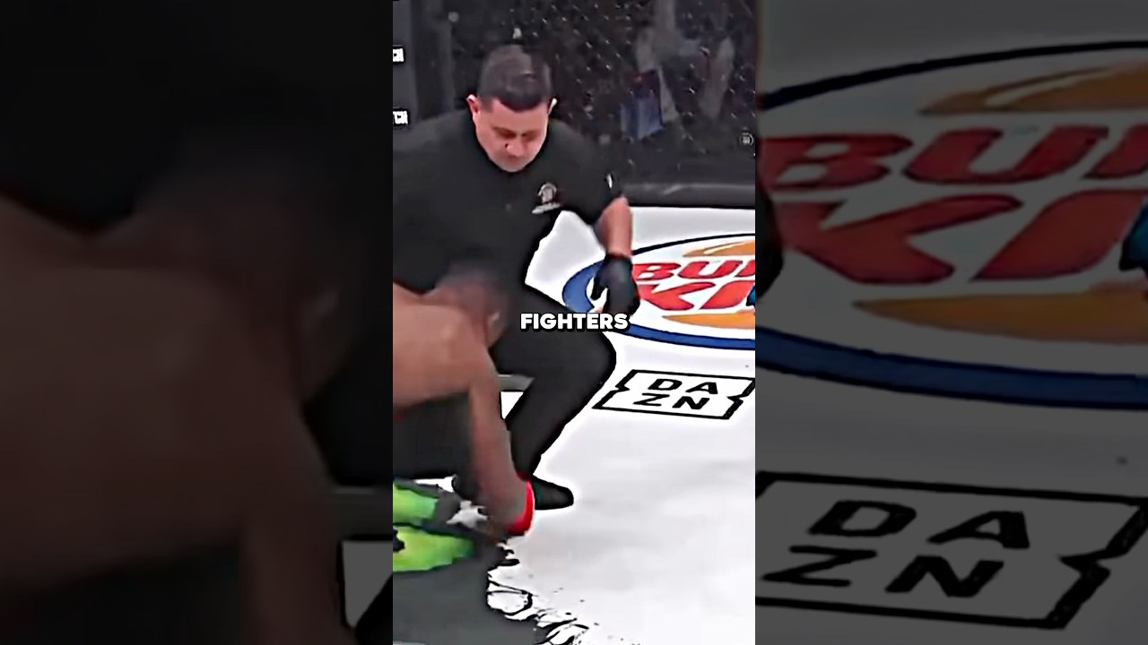 Why Fighters Attack Referees
