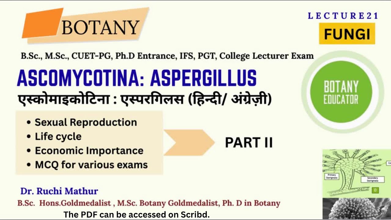 Sexual reproduction।। Life cycle of Aspergillus: Part 2
