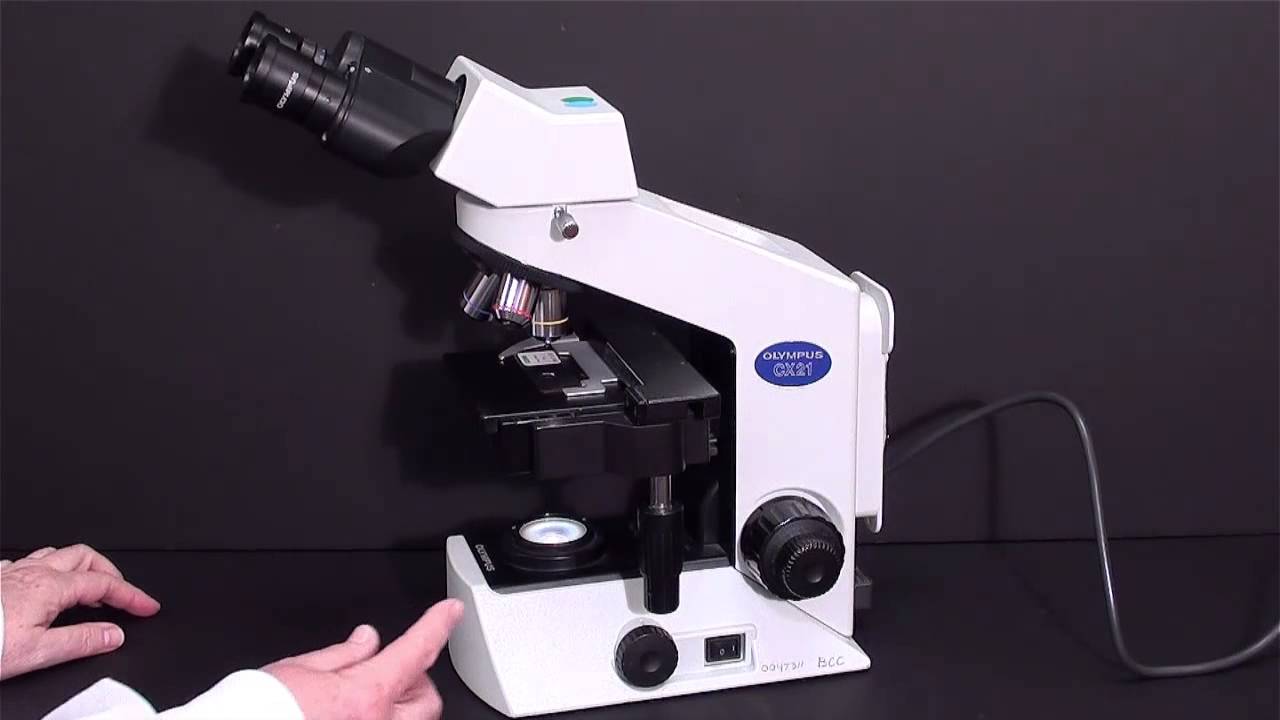 How to Use the Light Microscope