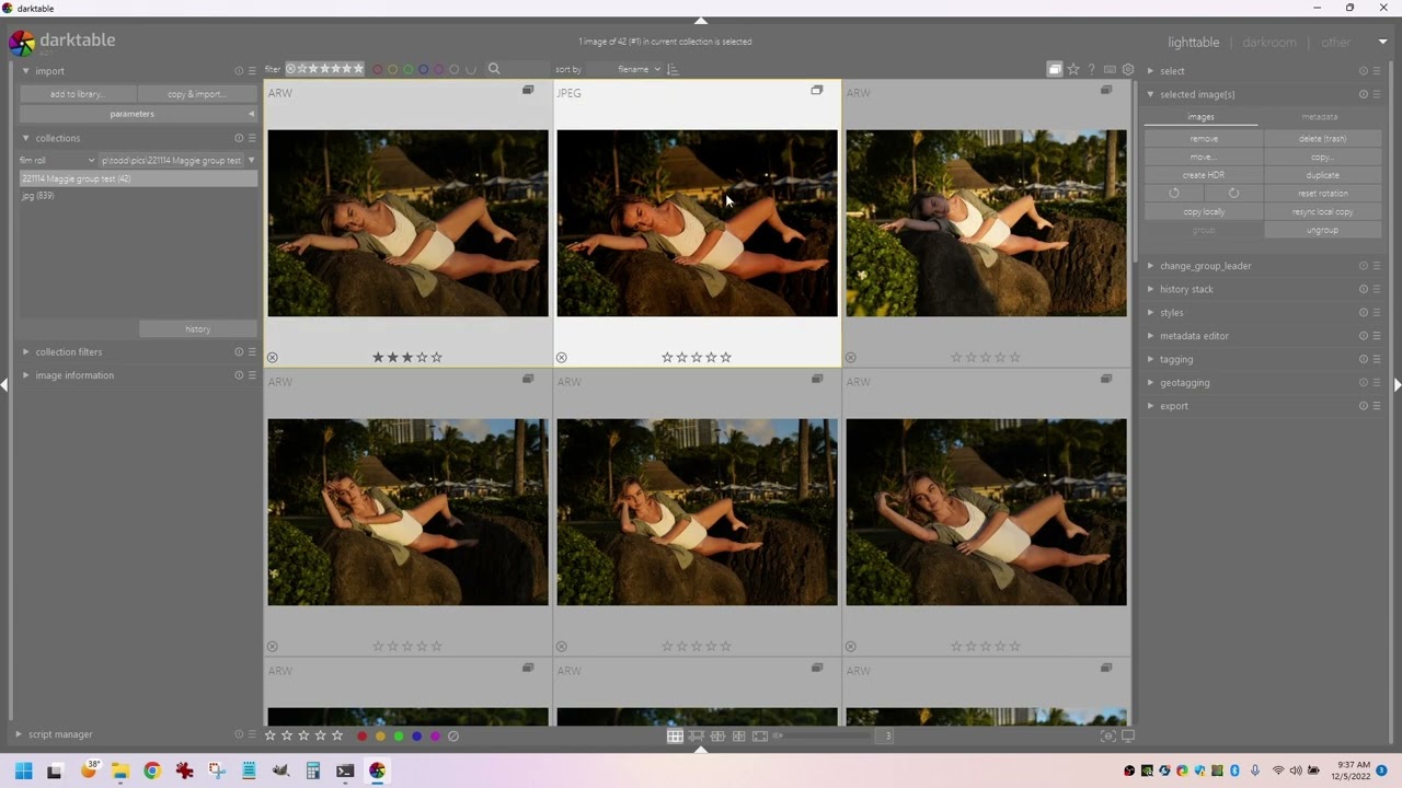 Darktable RAW+JPG workflow: rating a Group when previewing just the JPGs