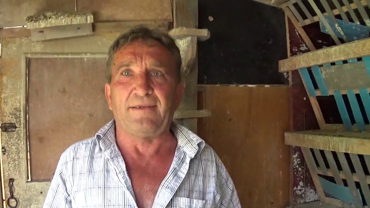 Racing Pigeons Breeder Mr Nedelcu Gheorghe Darza Dambovita Romania flying males 2020 June 16
