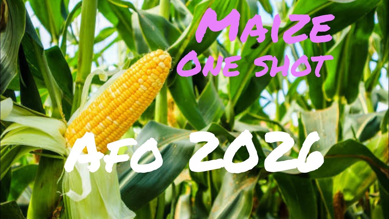 MAIZE Afo 2026 |NABARD |UPSC