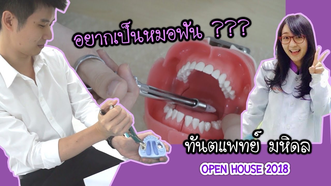 อยากเป็นหมอฟัน ?? ll เปิดบ้าน ทันตะ มหิดล ll Bow Dent MU