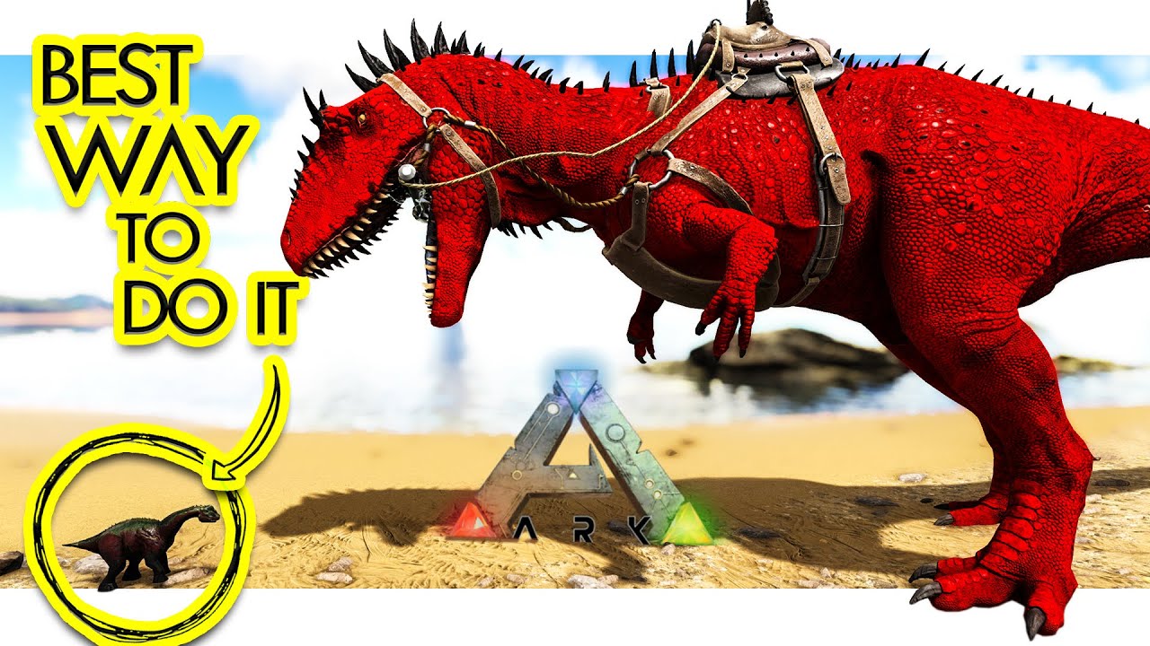 How to PERFECT Tame The Carcharodontosaurus - Guaranteed 99.7% - ARK Survival Evolved