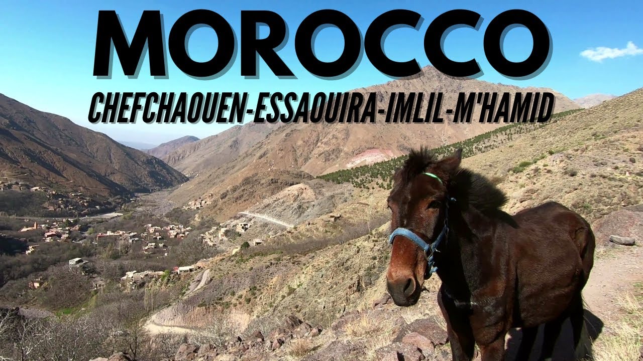 Budget Solo Travel in Morocco | Chefchaouen, Essaouira, Imlil, & M'Hamid | 1 Month Itinerary: Part 2