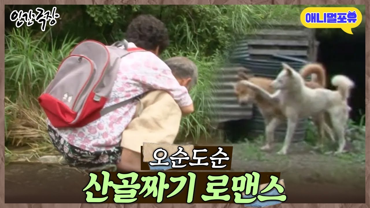 [풀버전] 산골짜기 잉꼬 노부부와 누렁이🐶 행복한 시골 살이 I KBS 인간극장 - 가래골 로맨스 2011 방송