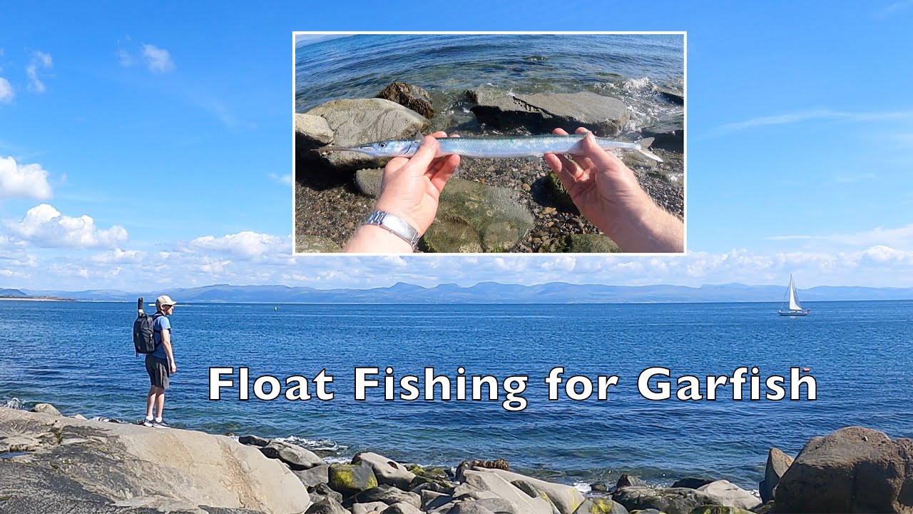 Float Fishing for Garfish / Longnose with Mackerel in North Wales, Snowdonia UK Sea Fishing