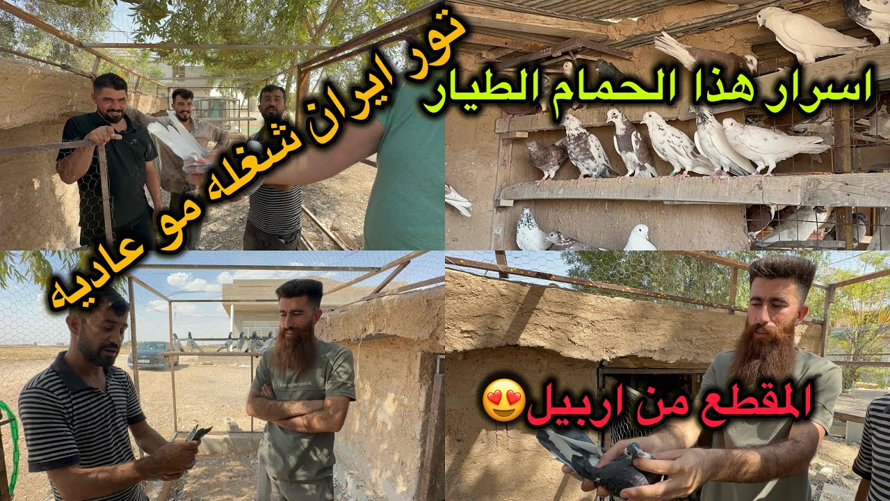 اسرار تار ايران العجيبه 😱جوله في اربيل😍سباق 500 طير🤯🤯🤯