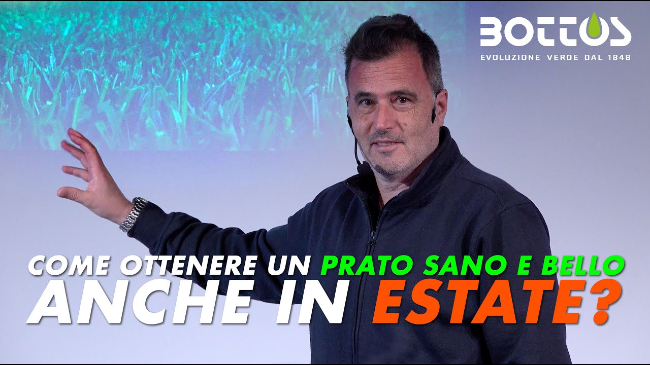 Come ottenere un prato sano e bello anche d'estate?