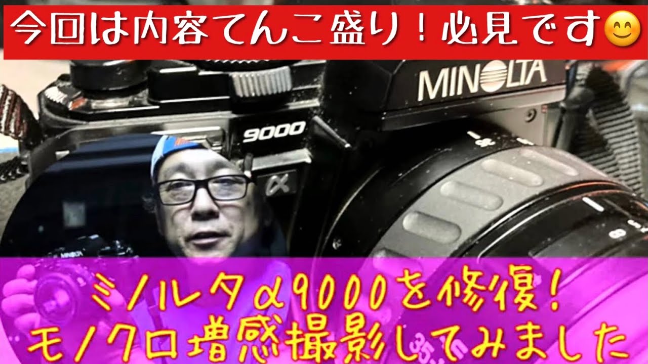【モノクロ増感】【ジャンクカメラ】トラブルを修復したミノルタα9000で、モノクロフィルム増感撮影してきました。#フイルムカメラ #フイルム写真 #フイルム一眼レフ #自家現像