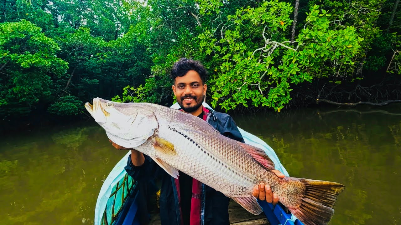 বরশিতে এতো বড়ো মাছ ধরে রাখতে পারবো ভাবিনি ​⁠@ANDAMAN_HUNTERS