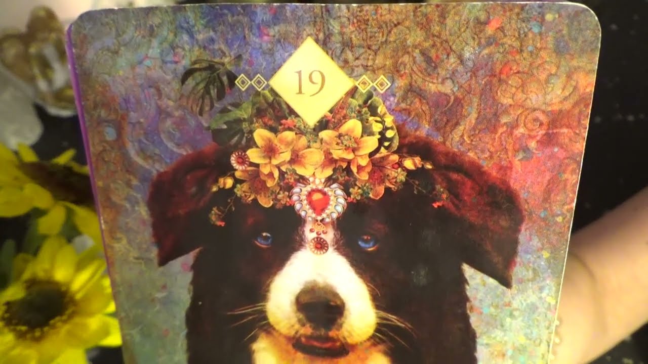 Aries~Aries Oracle October 2025