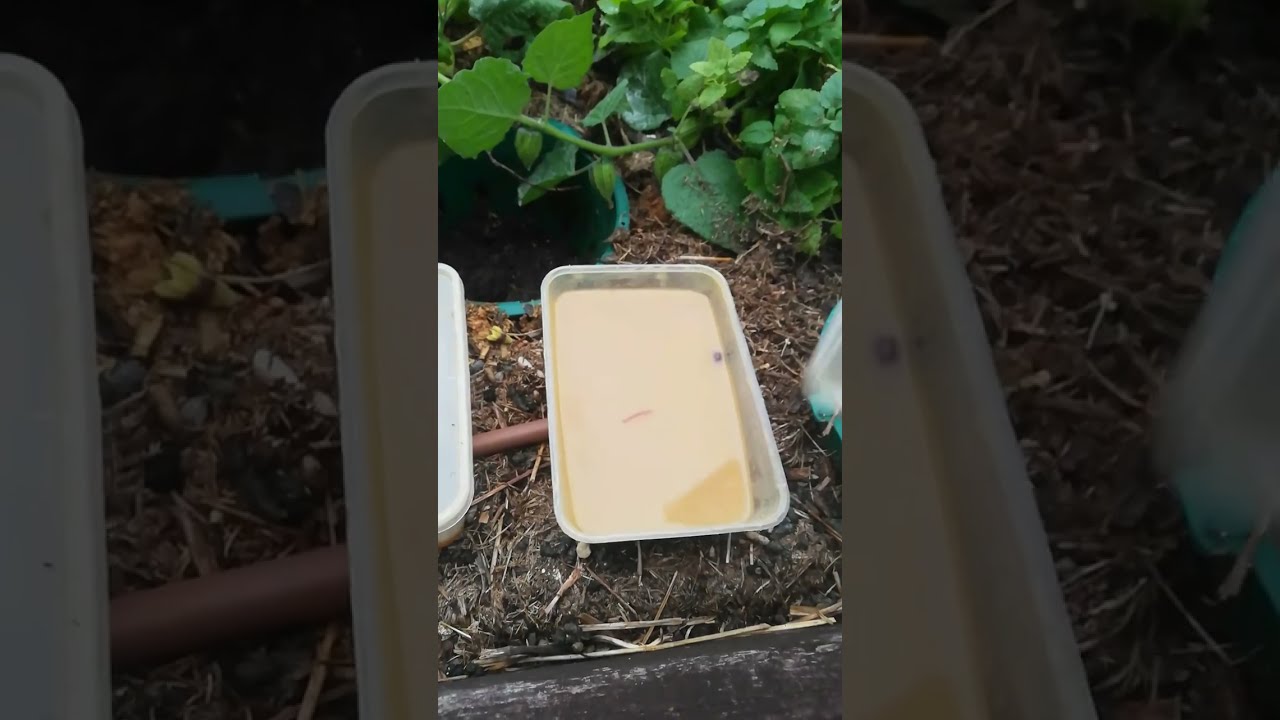 Composting of old/used cooking oil