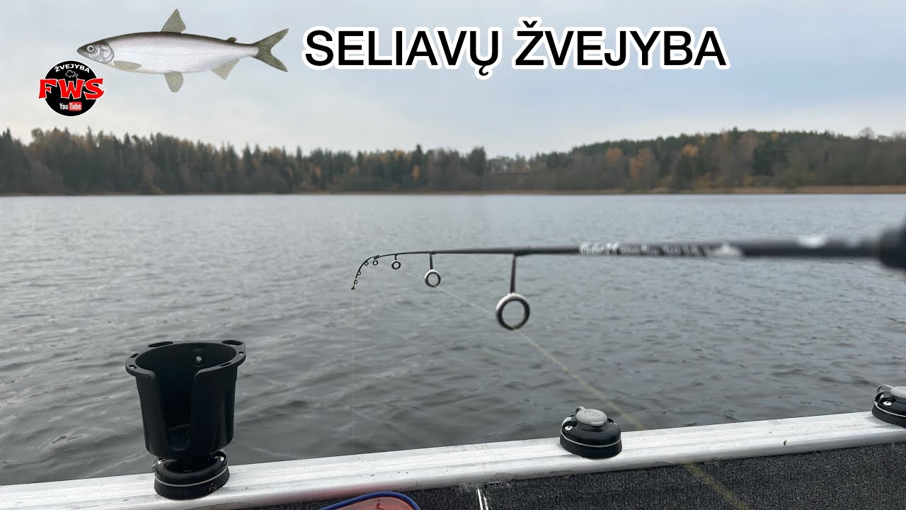 LAŠIŠINĖS ŽUVIES SELIAVOS ŽVEJYBA 2023