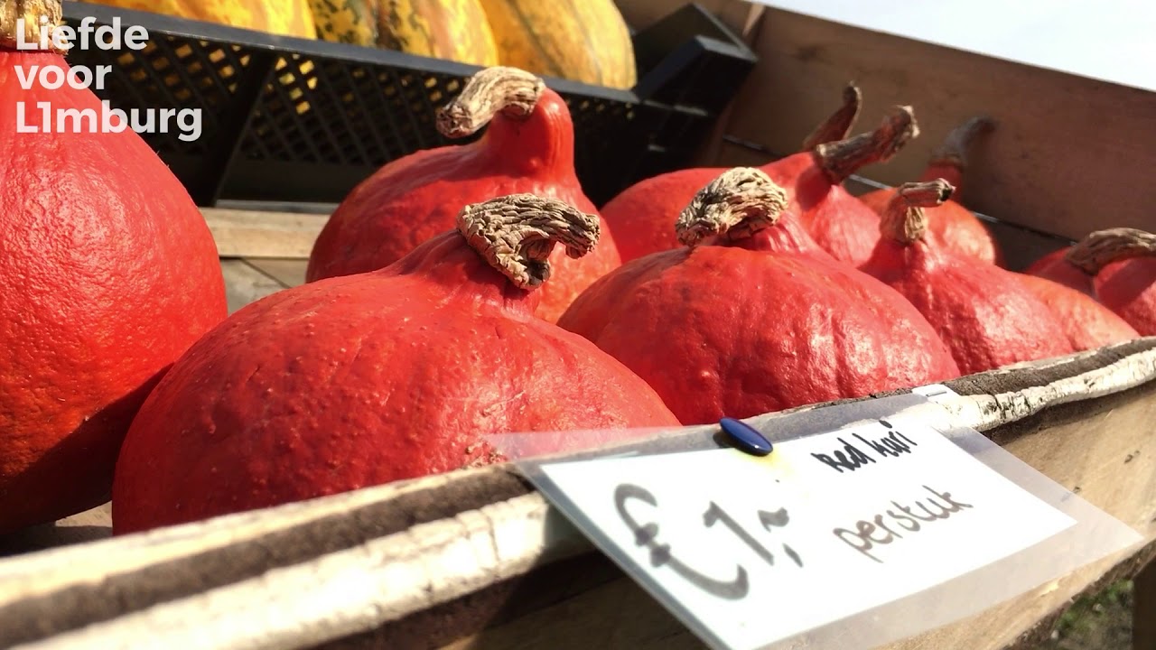 Liefde voor Limburg: Pompoenen
