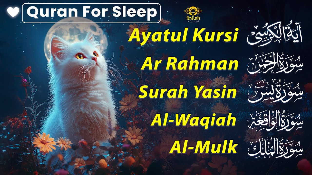 Relax Your Heart & Sleep Peacefully | Al-Fatiha,Ayatul Kursi,Surah Rahman,Mulk, Yasin - By Alaa Aqel