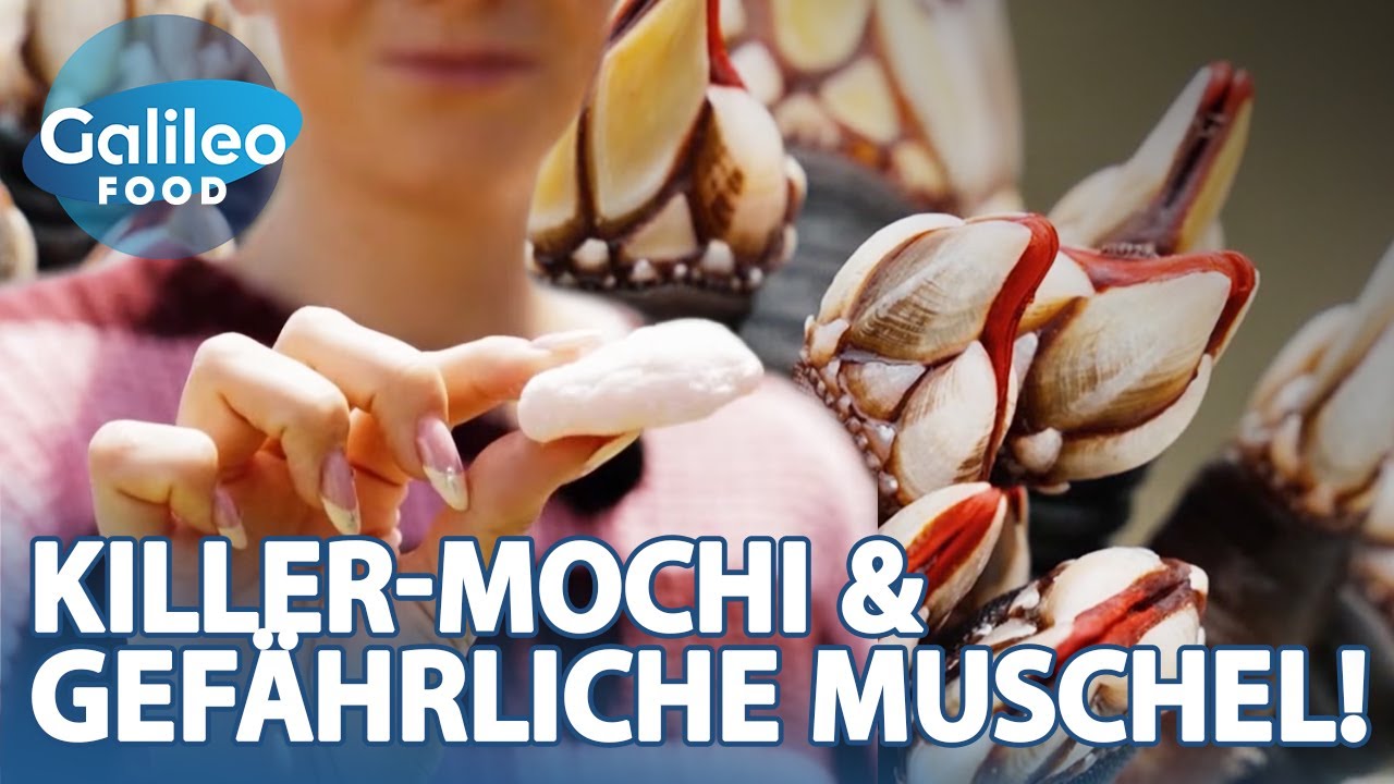 Tödliche Delikatessen? RISKANTE Mochis & Muscheln! | Galileo Food
