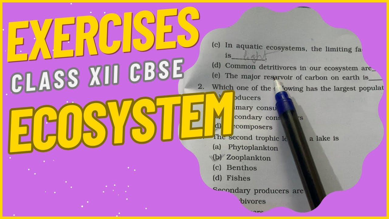 CLASS XII NCERT Exercises: ECOSYSTEM || Biology || CBSE