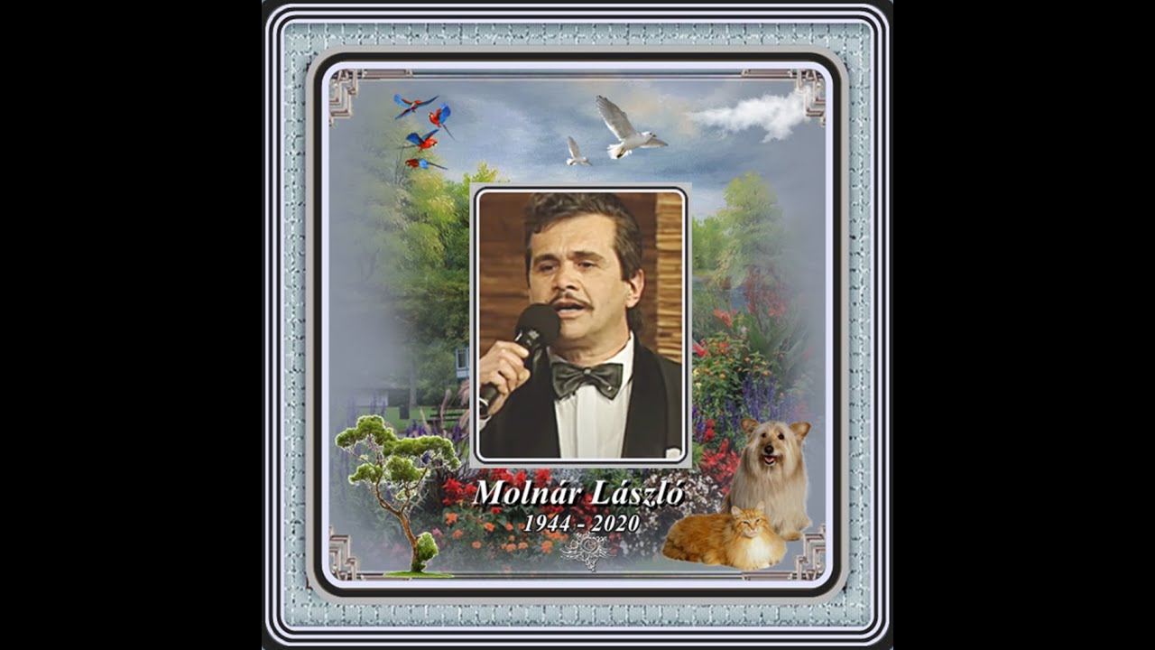 Molnár László : Volt egyszer egy régi tavasz