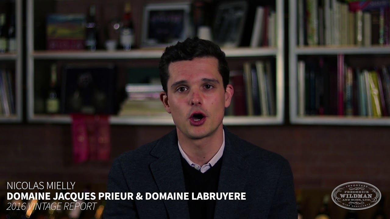 Domaine Labruyere &  Domaine Jacques Prieur 2016 Vintage Report