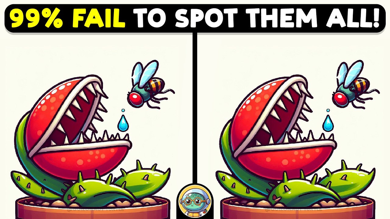 🐢🧩 Spot The Difference | Test Your Detective Skills 🧩🐢 | Quizonaut Turtle