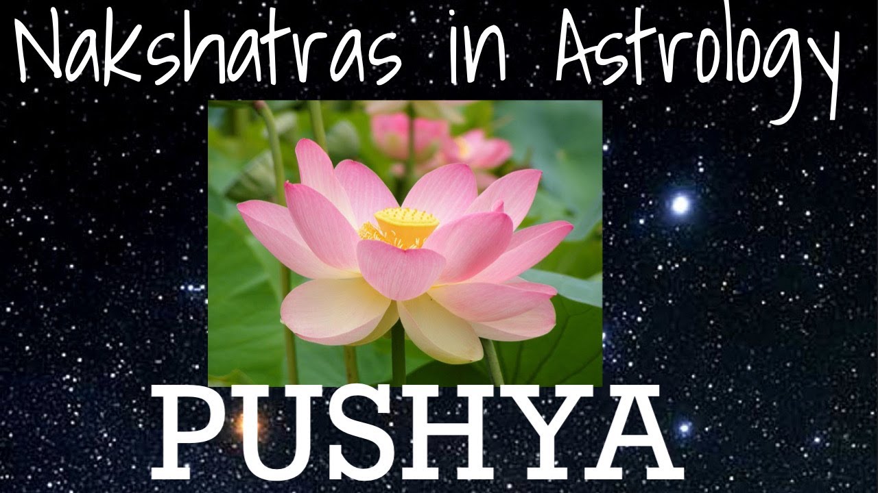 Pushya Nakshatra 3:20 - 16:20 Cancer