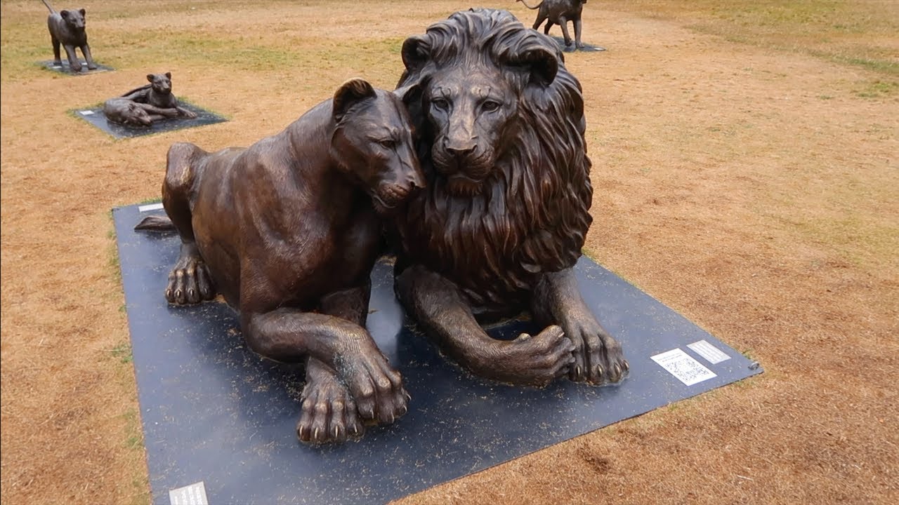 Full Size Lion Sculptures | Born Free Forever in Bristol