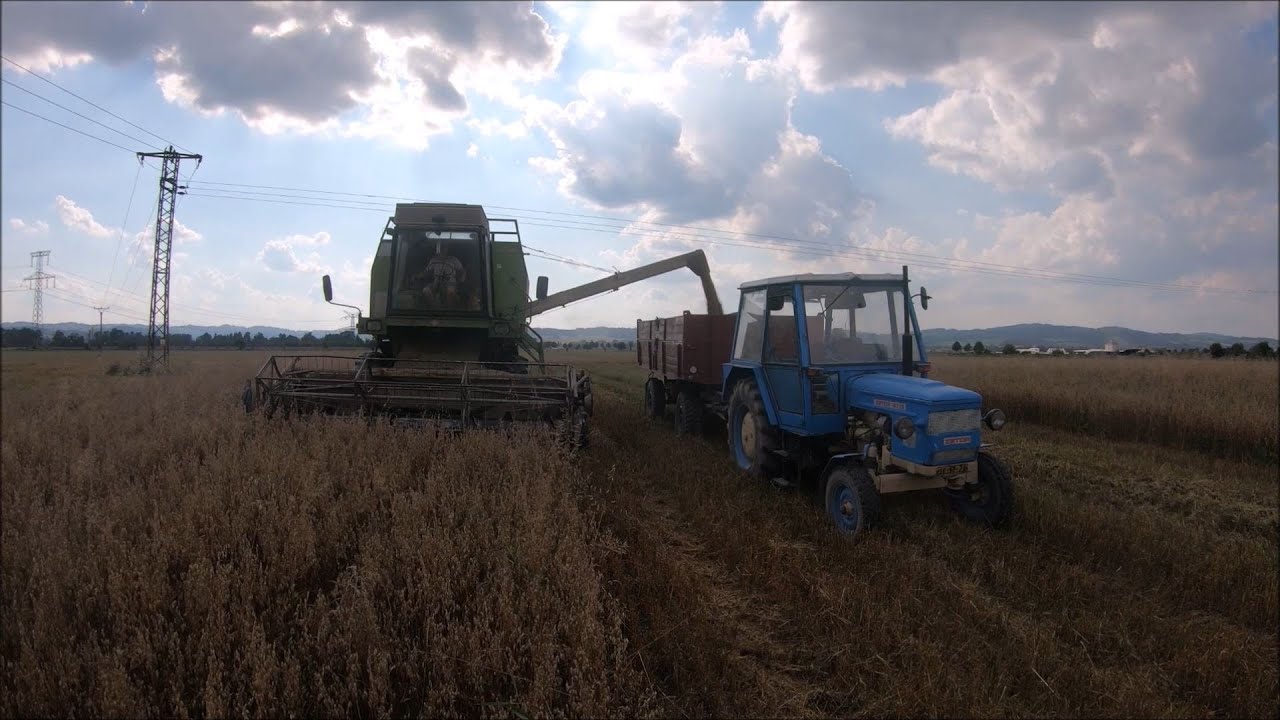 Žně 2020// Oves// Fortschritt E-514 MDW// Zetor 6718 + vlek 7T