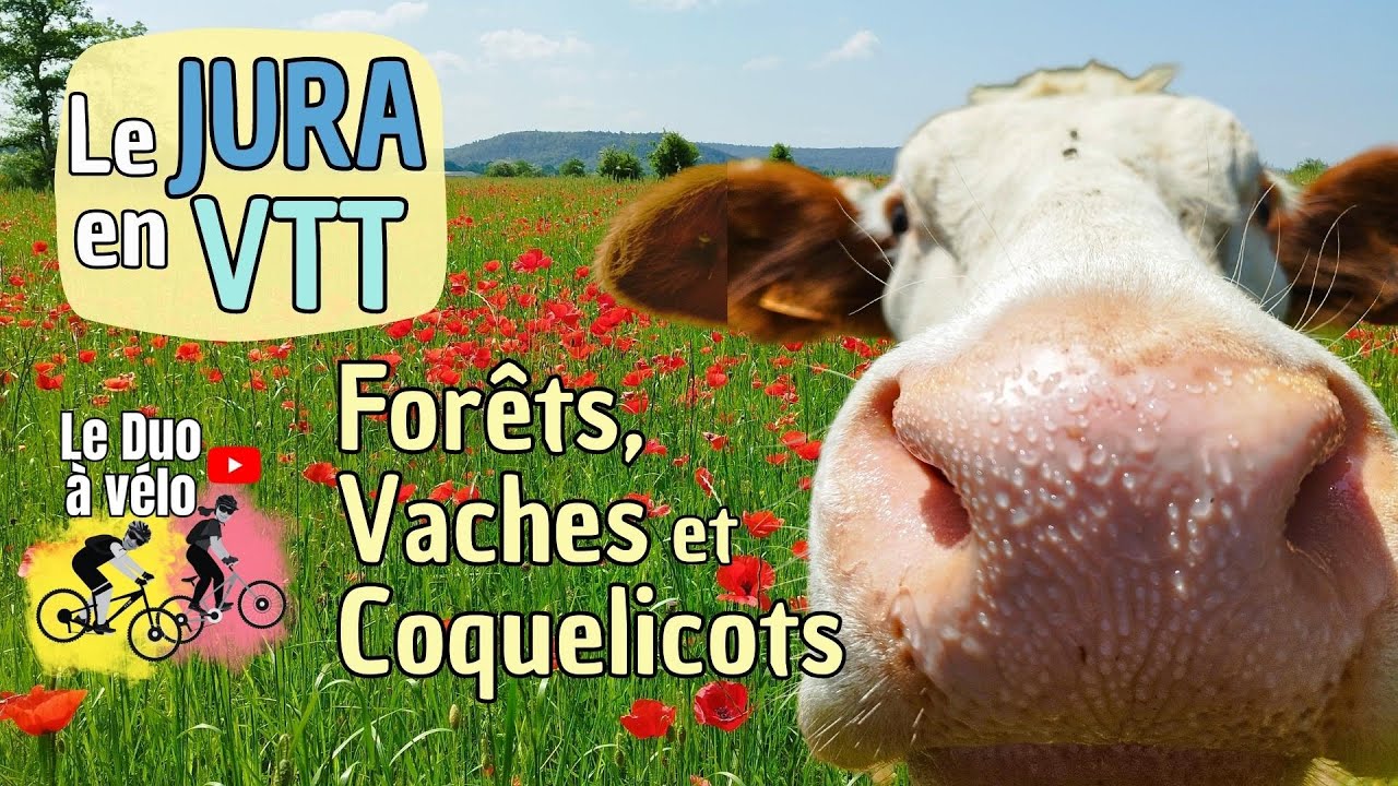 Le JURA en VTT | Parcours dans la campagne autour de CROTENAY, entre CHAMPAGNOLE et POLIGNY