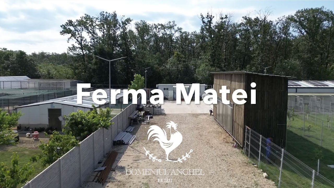 In vizita la Ferma lui Matei / Ședința Pajura