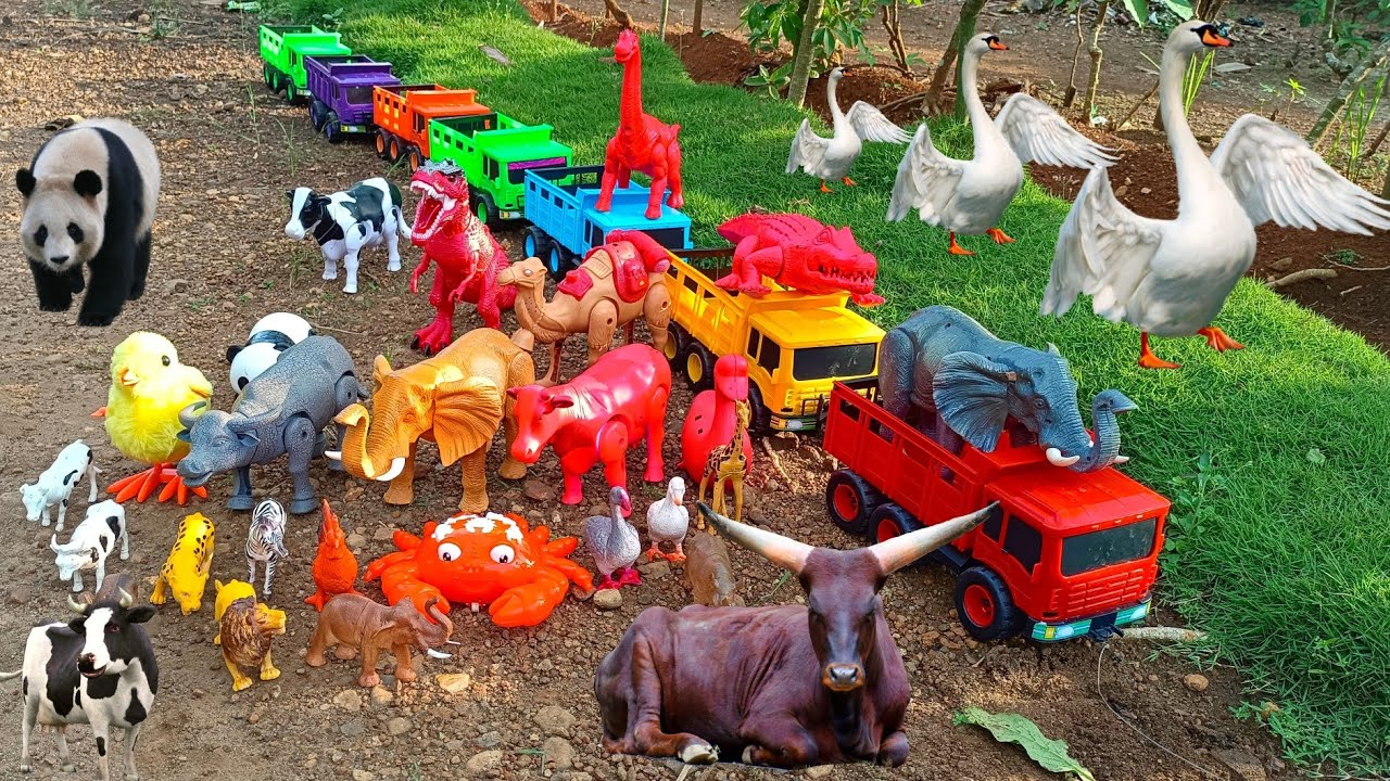Wow...!  Truk oleng angkut sapi, bebek, angsa, ayam, kuda, gajah, panda, singa, zebra, unta, kambing