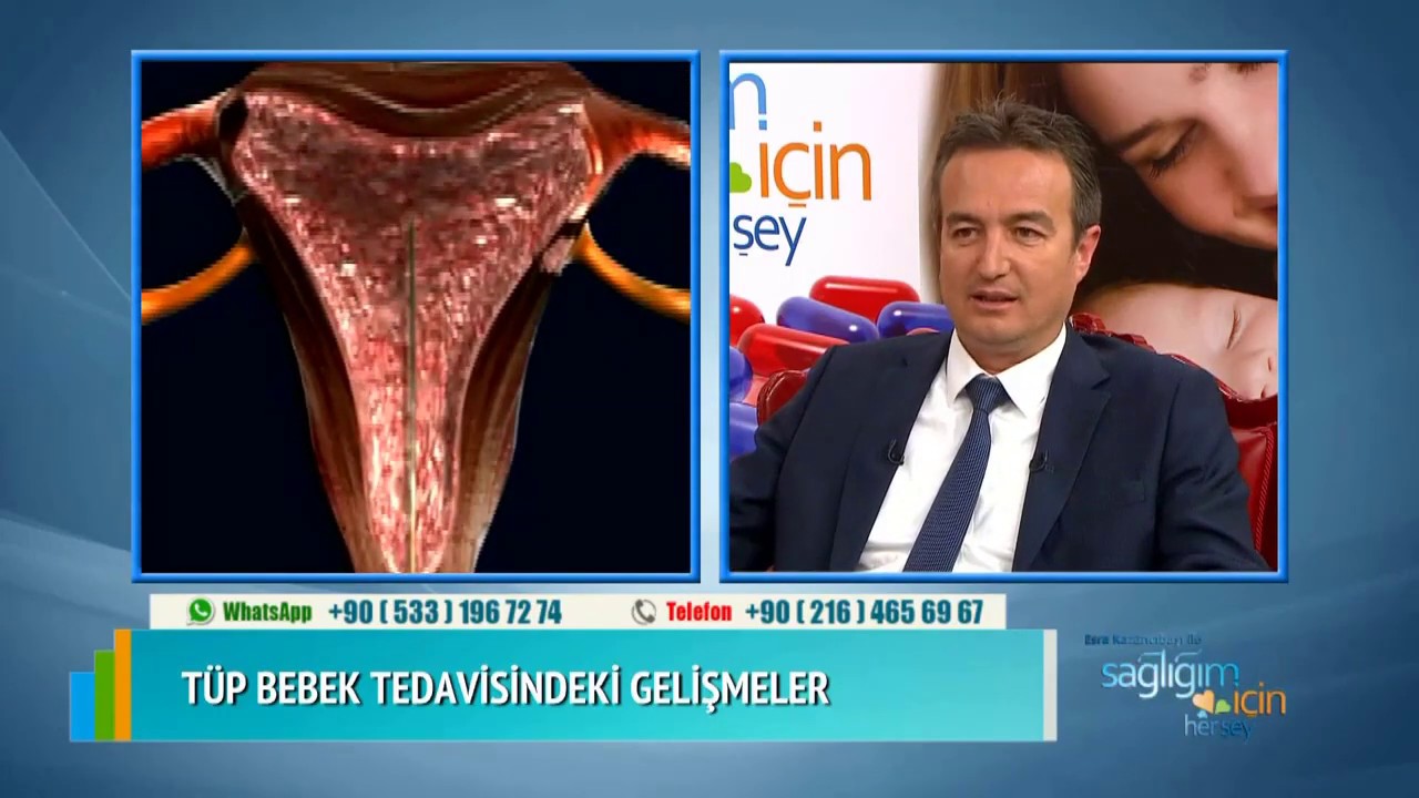 Hiç Yumurtası Olmayan Kadınlar Çocuk Sahibi Olabilir mi?