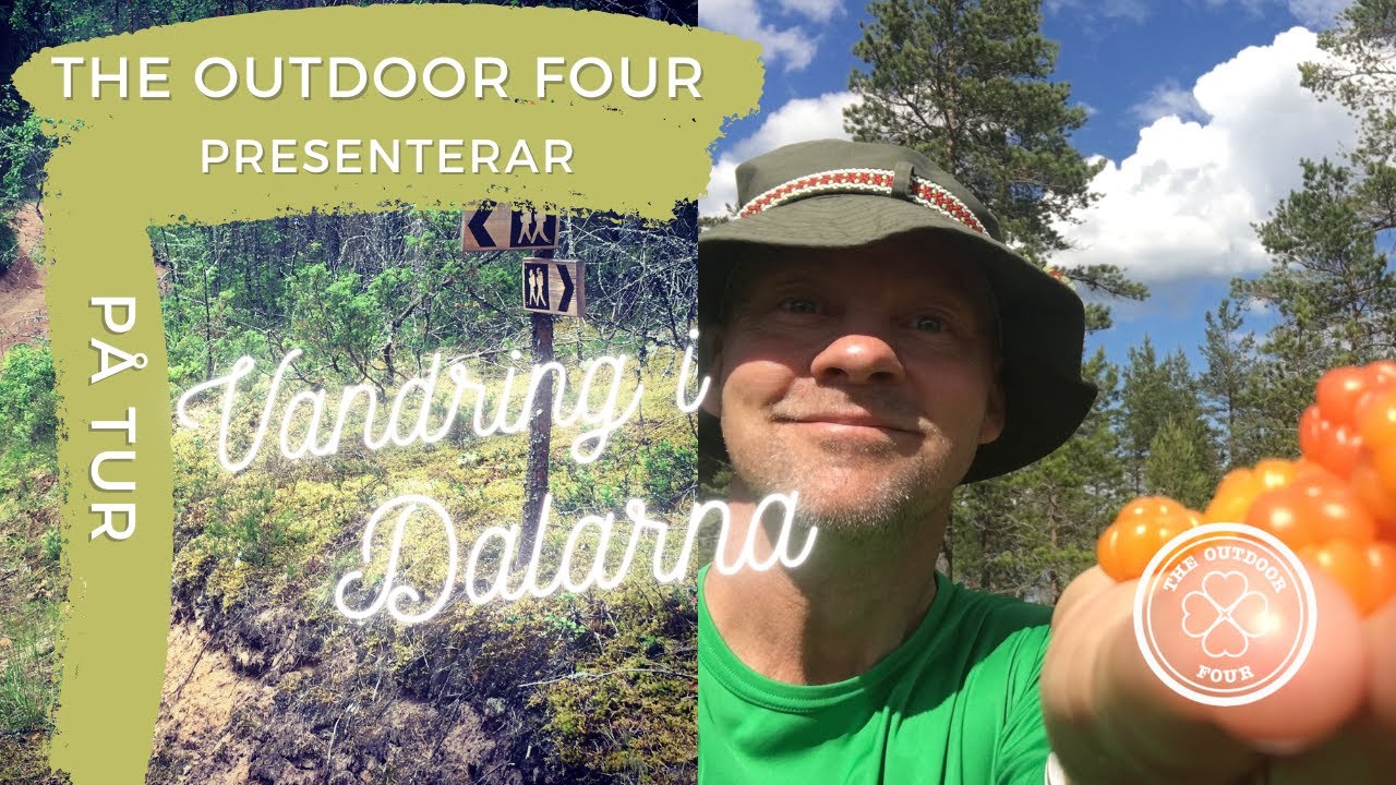 Sommarvandring i Dalarna, med smak på livet och siktet inställt på hjortron och hängmatta.