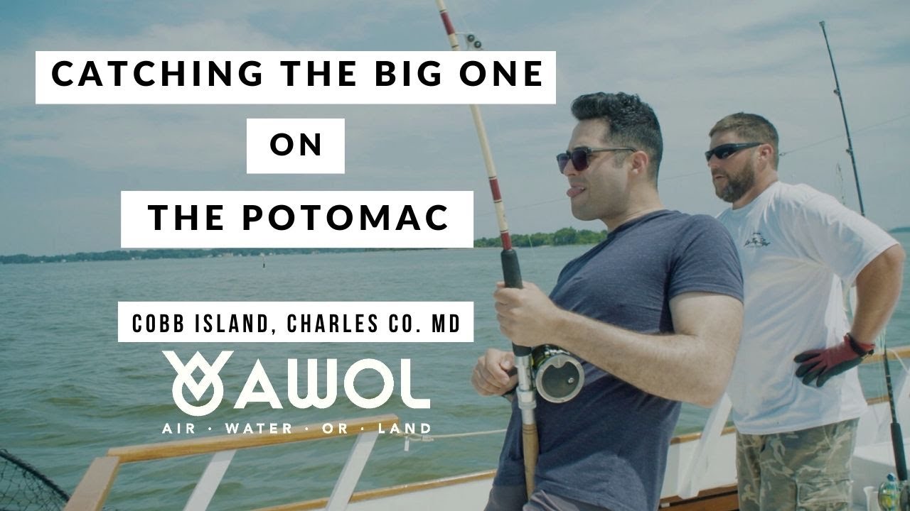 Chartle Fishing off Cobb Island, Charles Co. MD | AWOL: Air Water Or Land