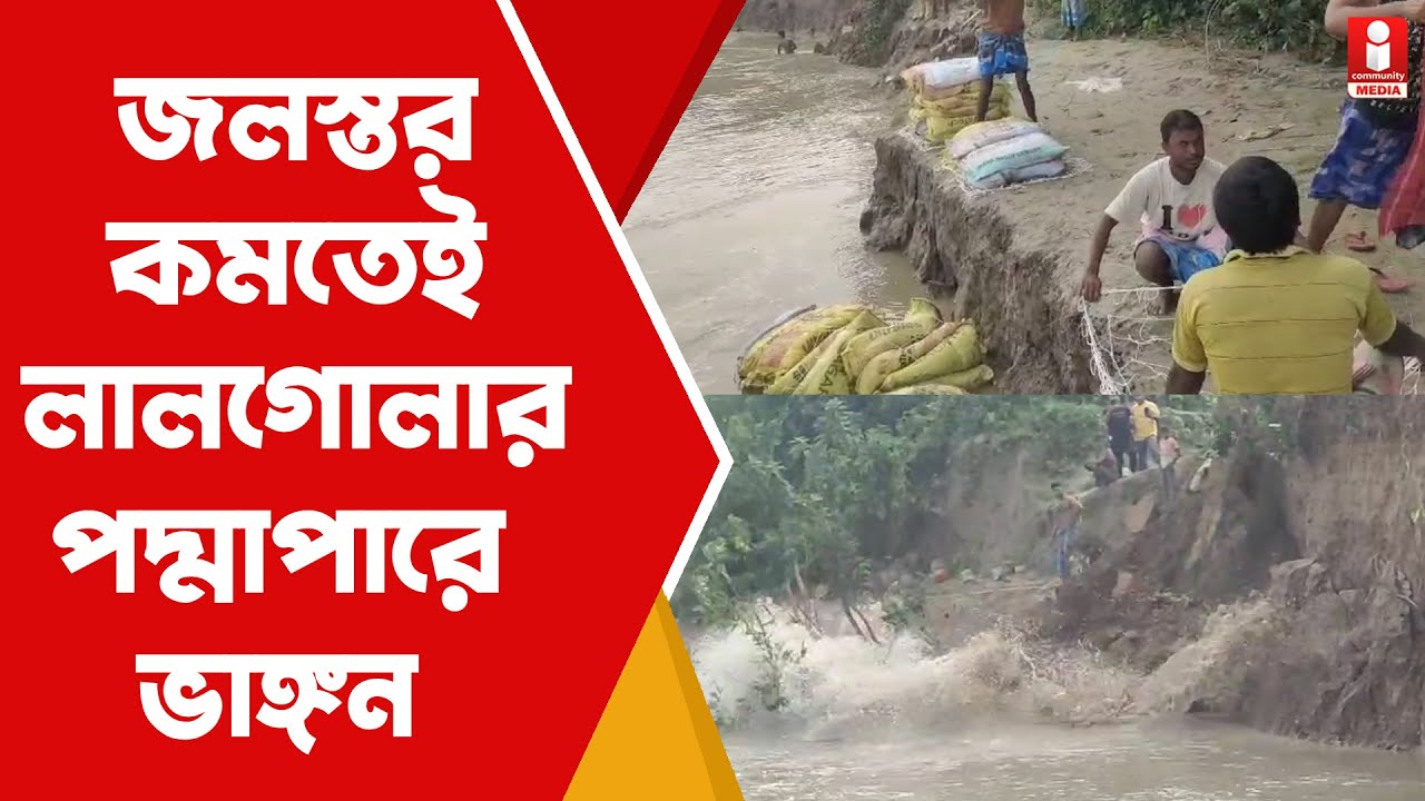 Lalgola Padma Erosion: জলস্তর কমতেই ফের ভয়াবহ পদ্মা ভাঙ্গন লালগোলায়