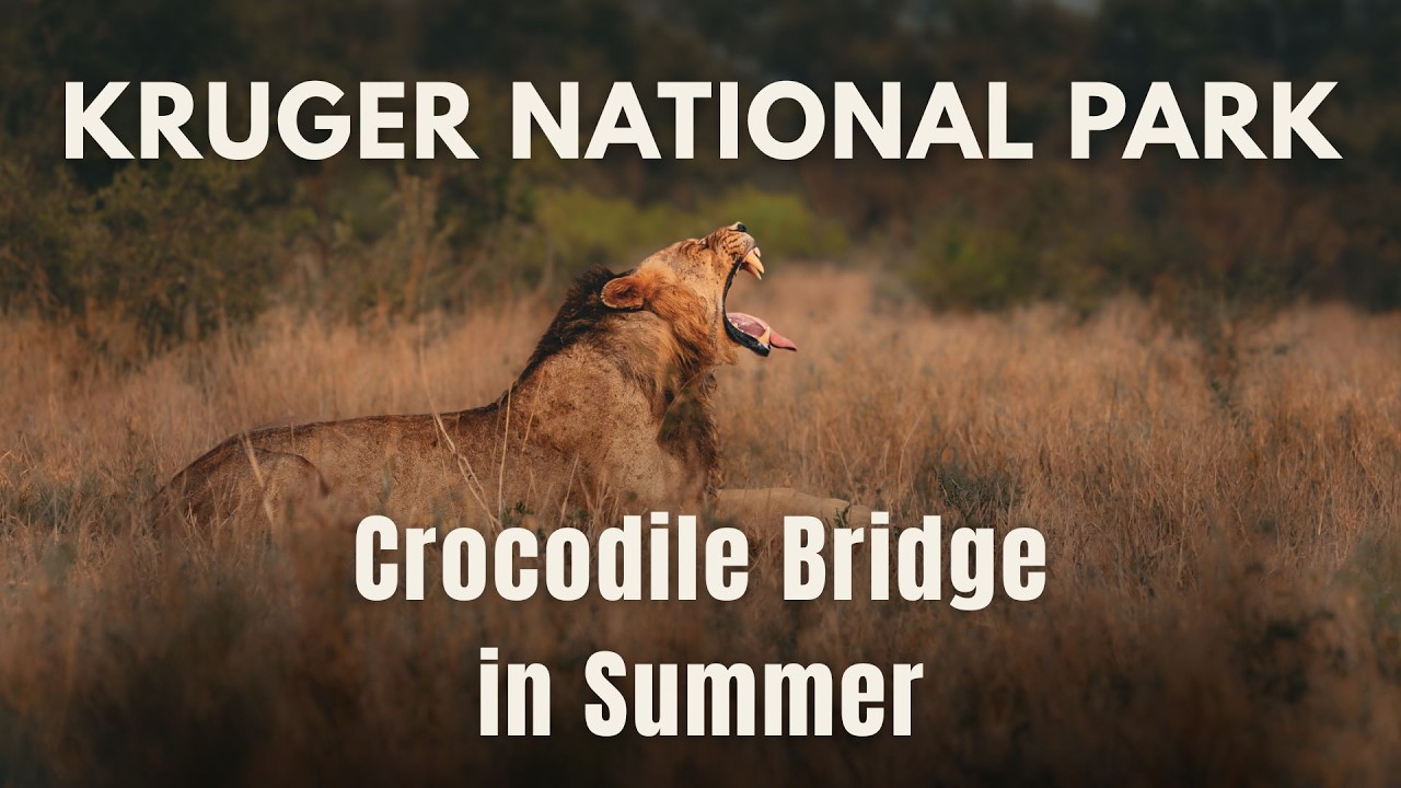 Ep. 5 | Kruger National Park - CROCODILE BRIDGE in Summer