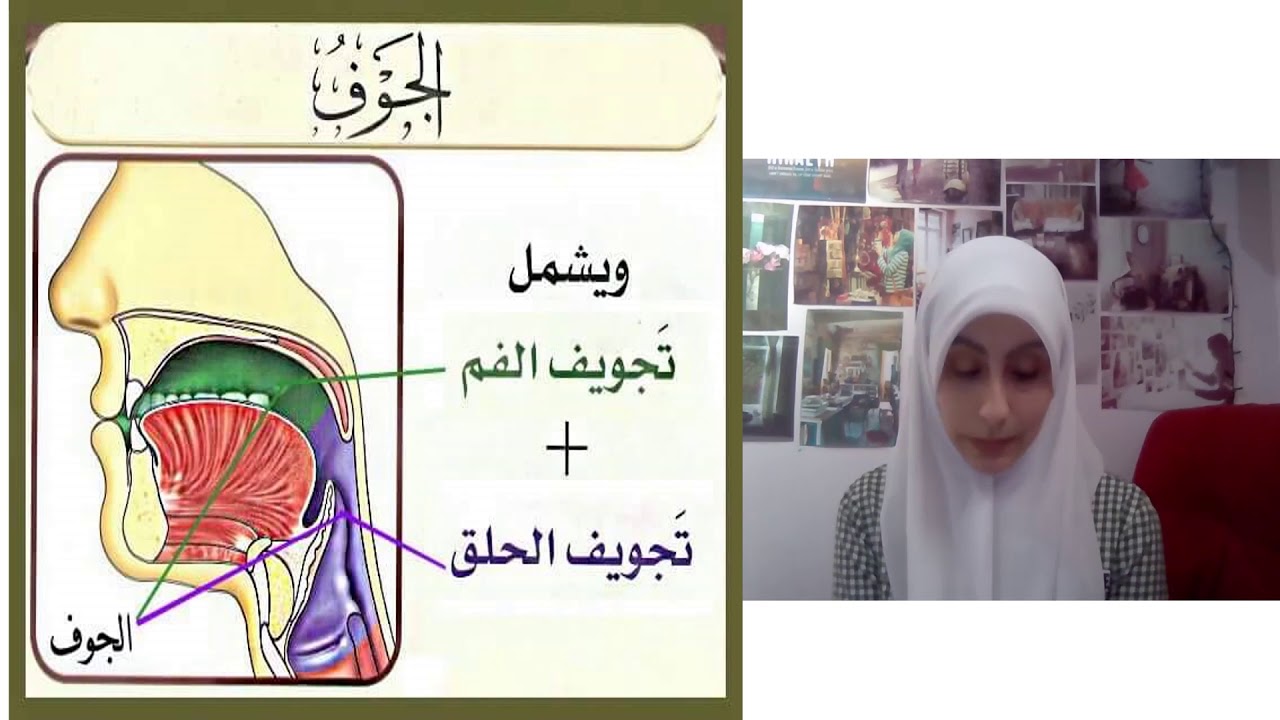 17. مخارج الحروف (المخرج الأول: الجوف)