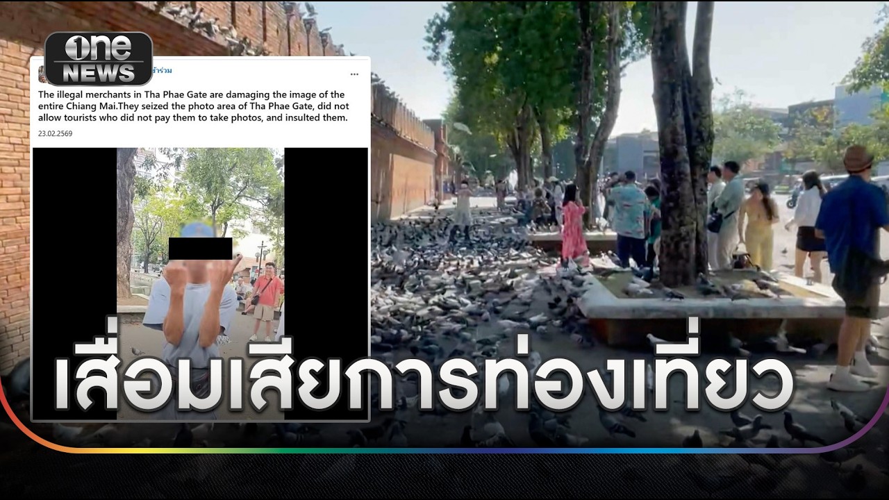 ชายถ่ายรูปนกประตูท่าแพ กร่างใส่ นทท. | ข่าวเที่ยงช่องวัน | สำนักข่าววันนิวส์