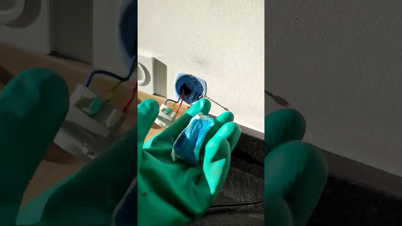 comment se d&eacute;barrasser des rats dans un mur ou un plafonds