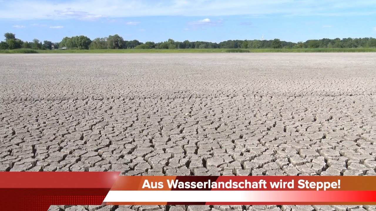 [Meetingpoint] Wenn aus der Wasserlandschaft eine Steppe wird