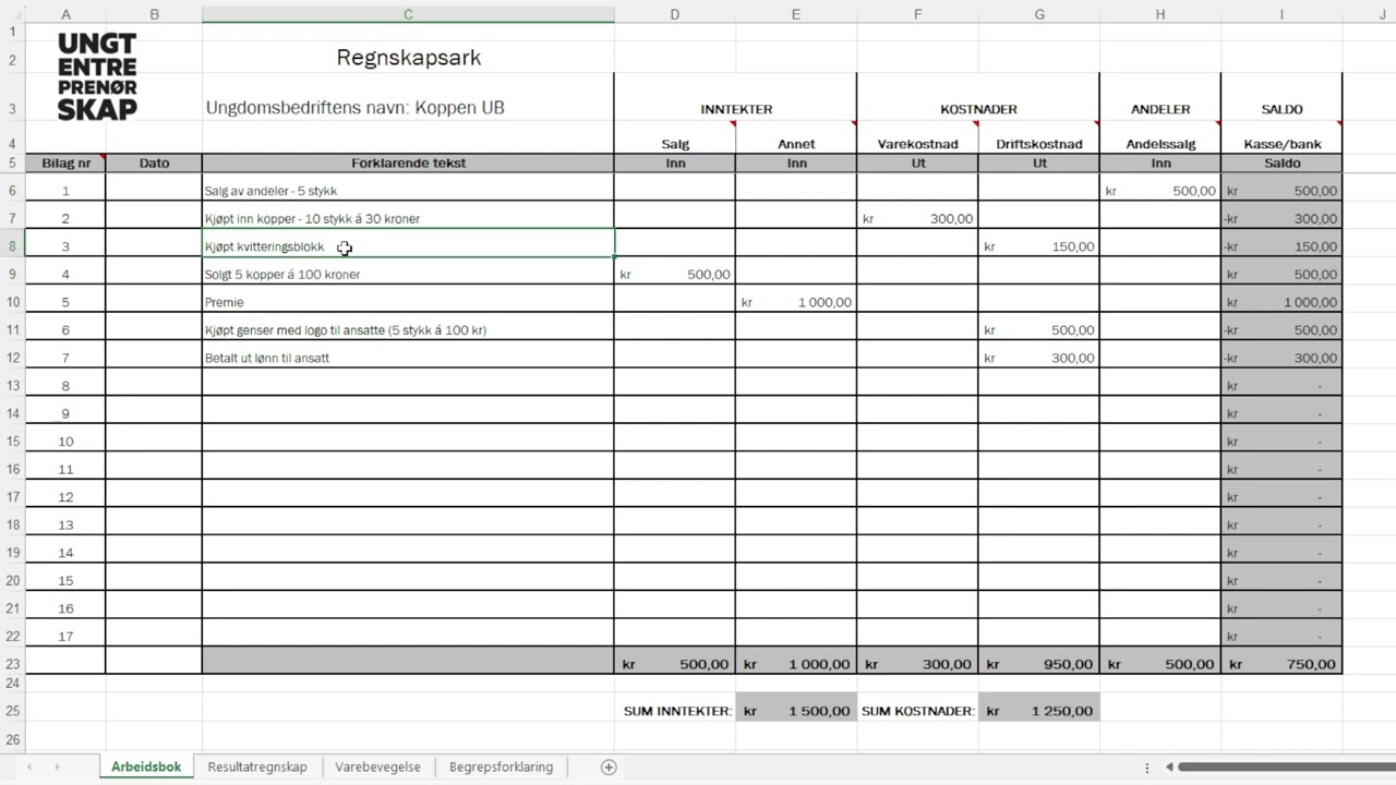 Regnskap i ungdomsbedrift