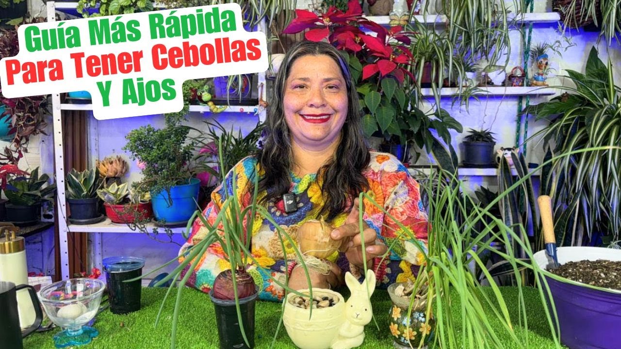 La Planta Guardián Cómo El Cempasúchil Protege Tu Huerto De Plagas Sin Químicos