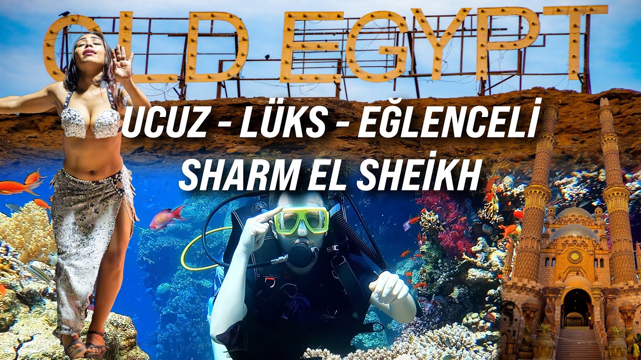 VİZESİZ - UCUZ - LÜKS Sharm El Sheikh bölüm 1 (Gidiş süreci ve otele ulaşım)