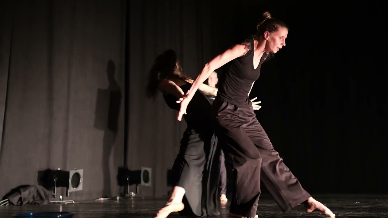 COMPAGNIE IRENE K.  EIN ZUSAMMENSPIEL  TANZART-OSTWEST 25